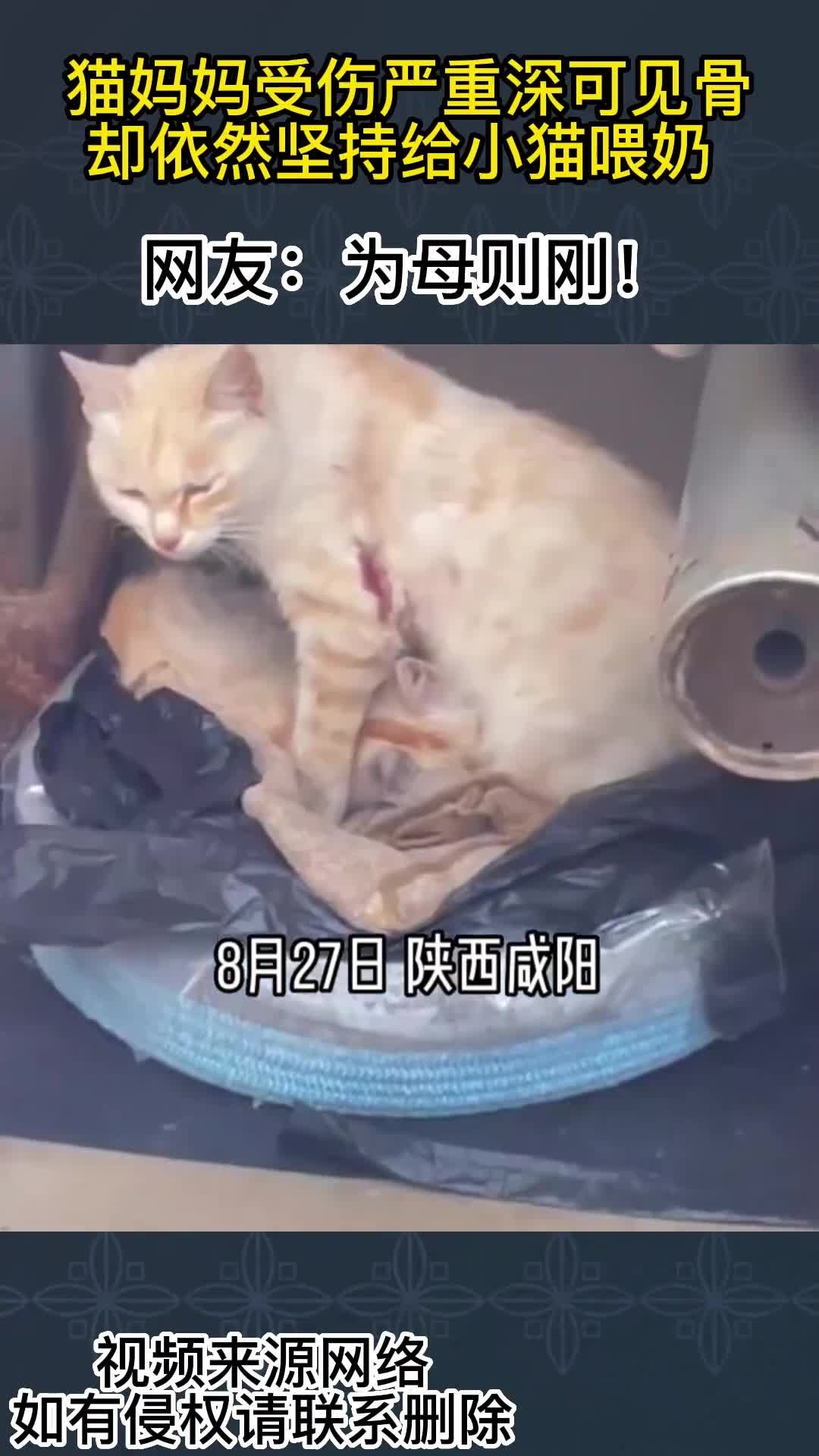 第2784页