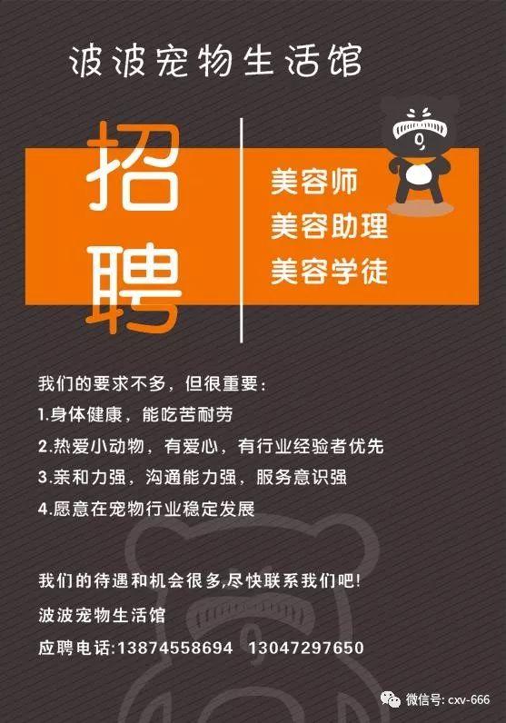 天际流星 第4页