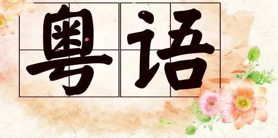 迷雾中的猫   第3页