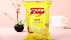 纸飞机   第4页