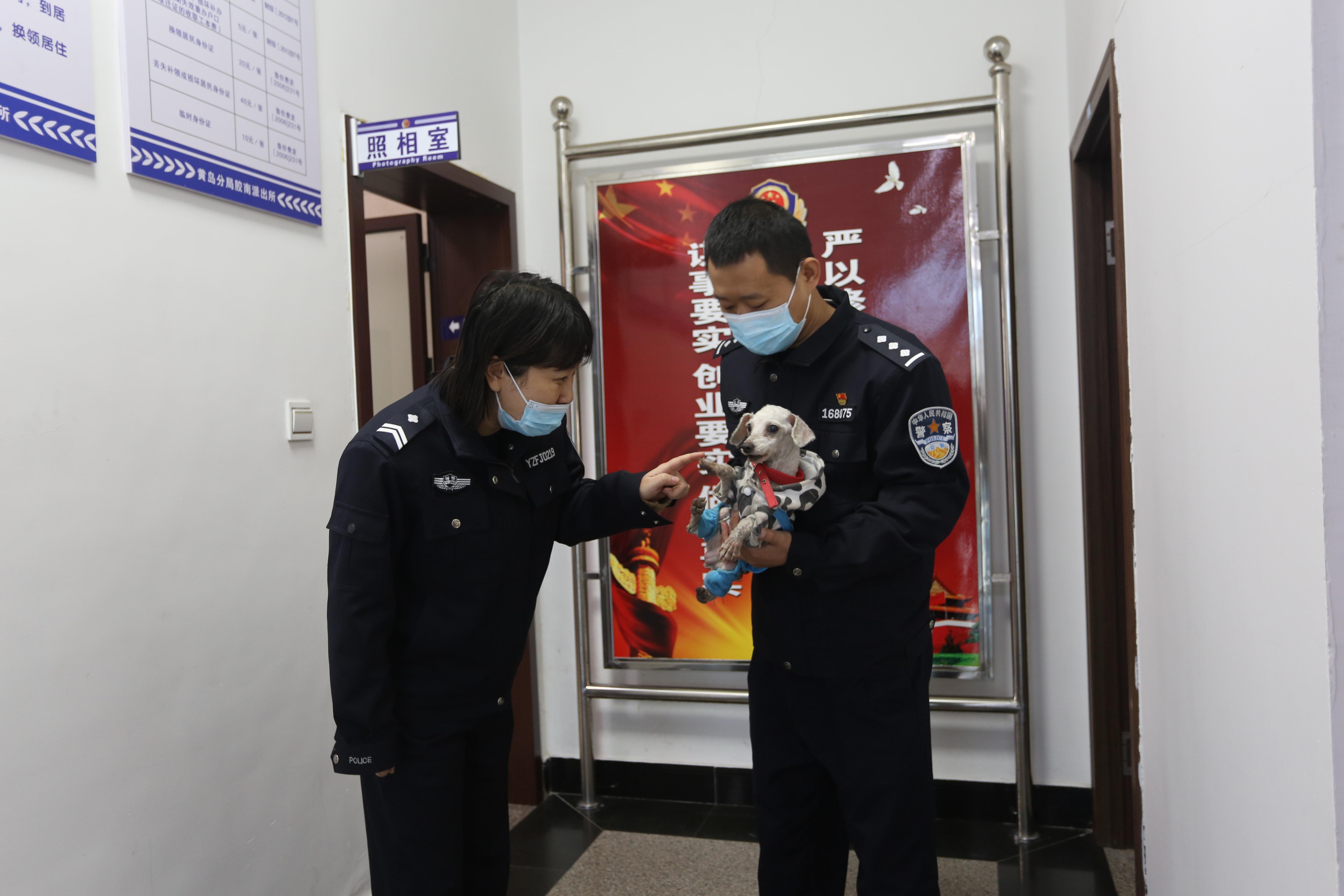 №日光边境↘ 第4页