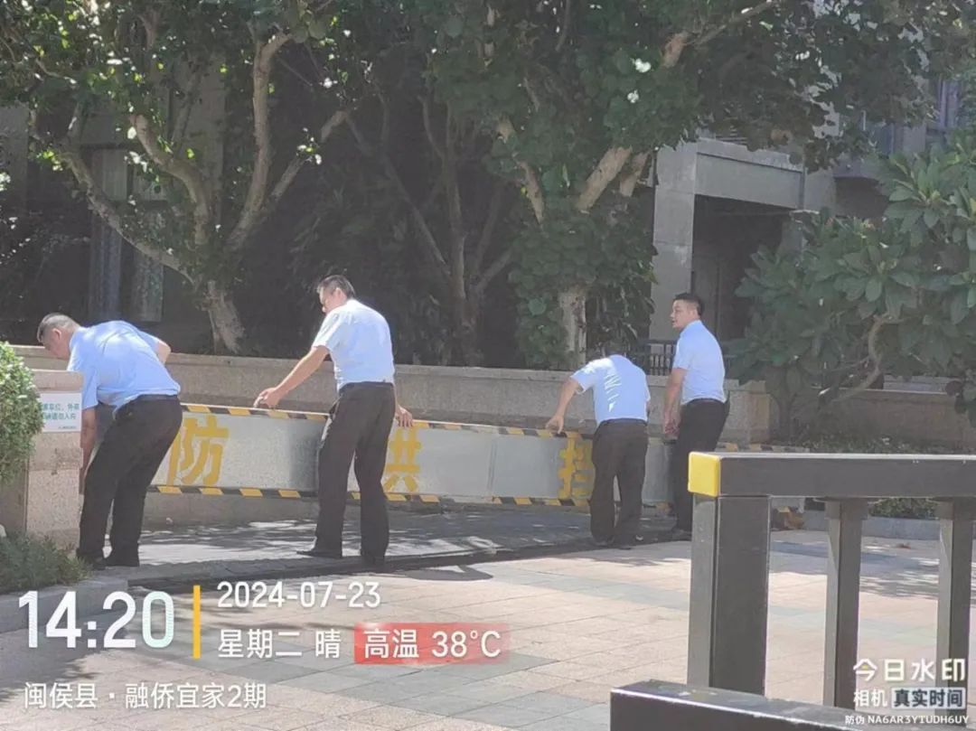 几叶风兼雨 第3页