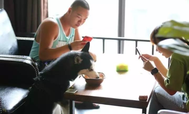 oヤ伪你变乖 第2页