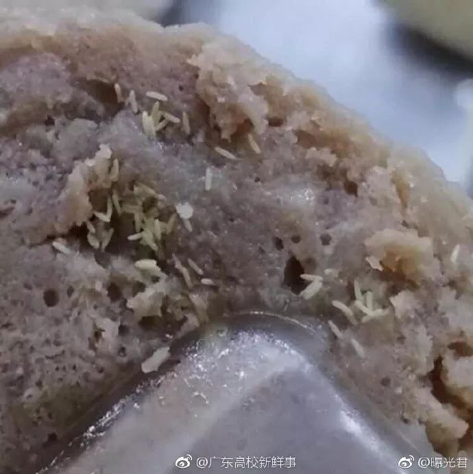2025年5月 第192页