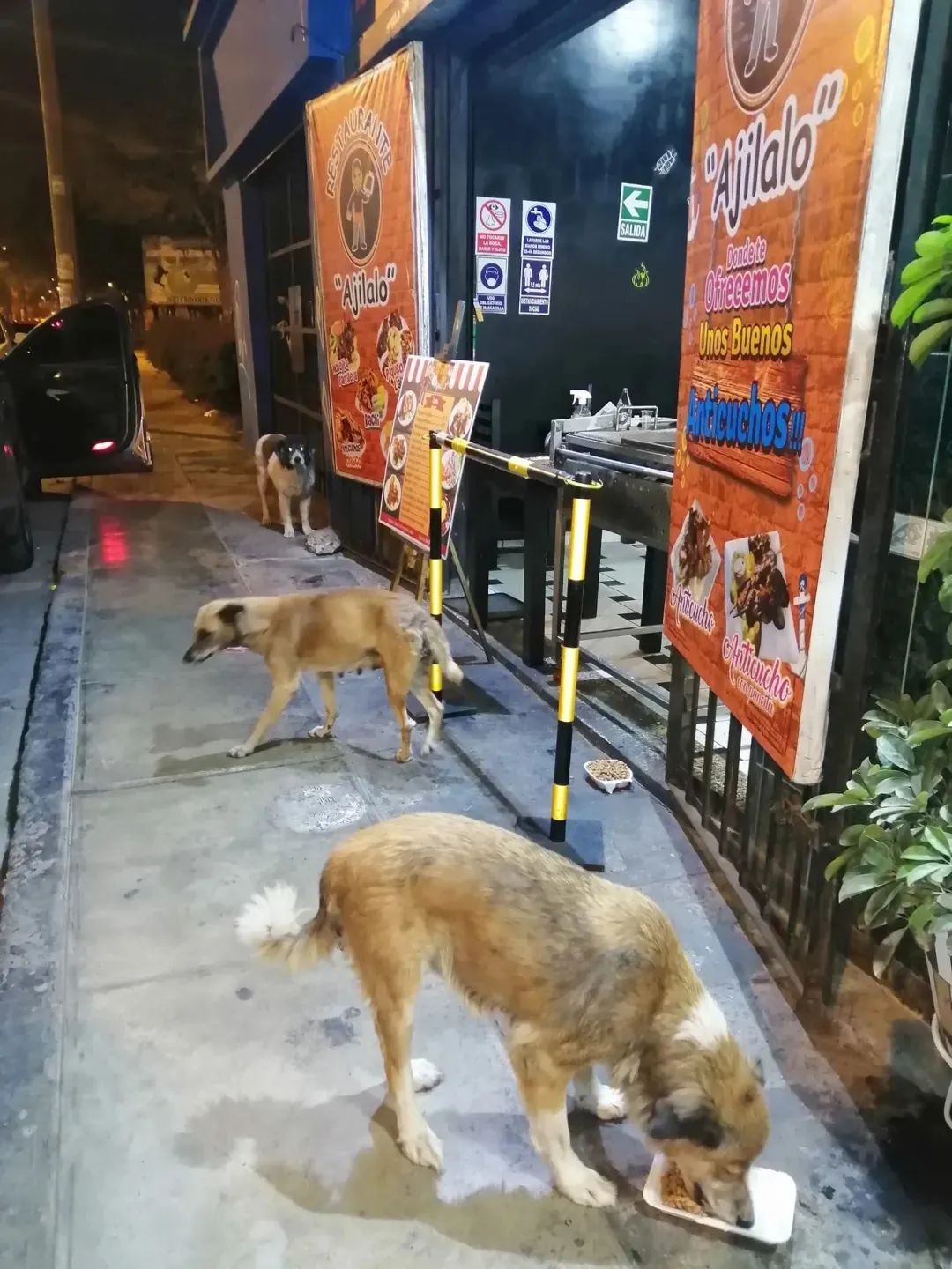 迷人的微笑  _1 第2页