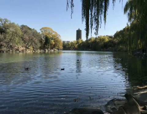 花开馥郁