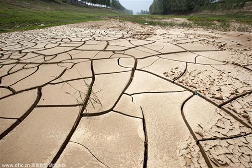 河南遭遇近25年以来最严重旱情河南遭遇近25年以来最严重旱情，农田受灾严重，如何应对挑战？