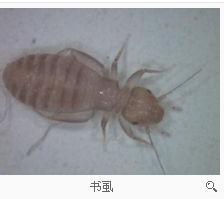 第482页