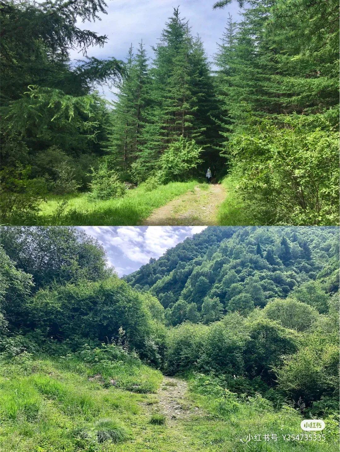 榆中刚刚发生的火灾很遗憾，我没有找到关于榆中刚刚发生的火灾的详细信息。火灾的发生地点和时间可能会影响我所获取的信息的及时性。