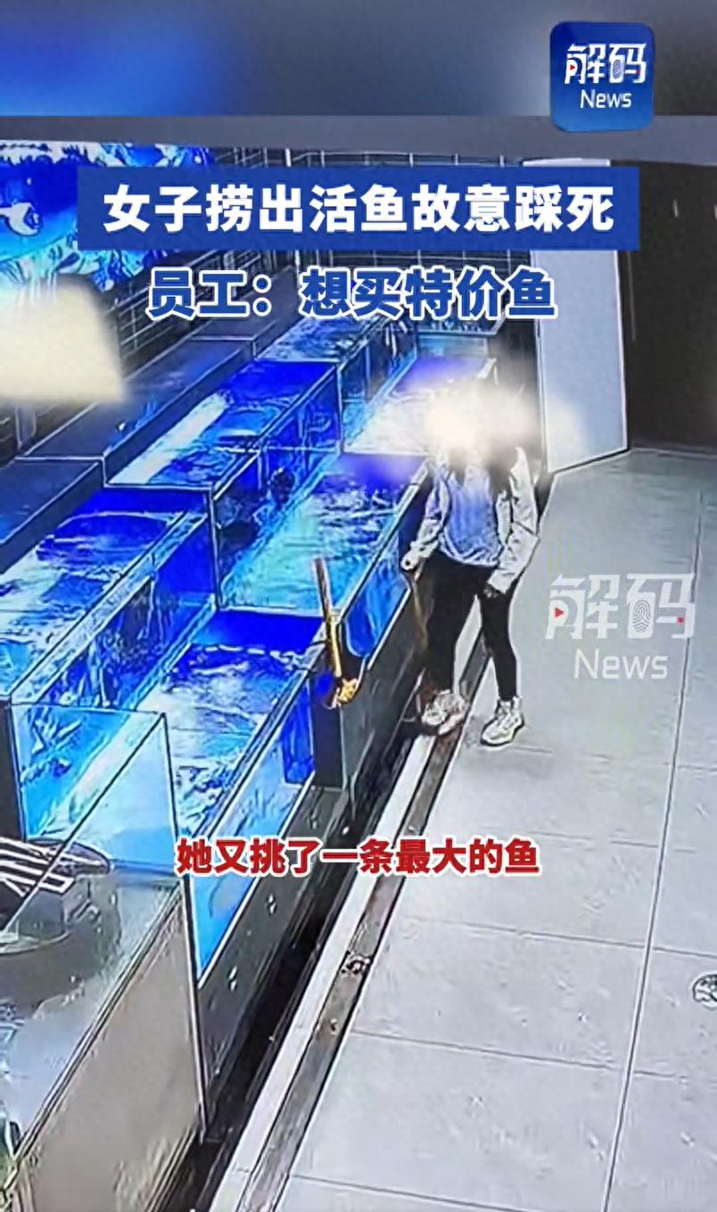 为买特价鱼将鱼踩死在购买特价鱼时，将鱼踩死是不明智的行为。这不仅可能导致商家无法出售这条鱼，还可能引发其他消费者的不满和指责。更重要的是，这种行为可能违反了商业道德和社会公德。商家通常会尽力确保商品的质量和安全，而消费者也应该尊重商家的努力并遵守商业规范。