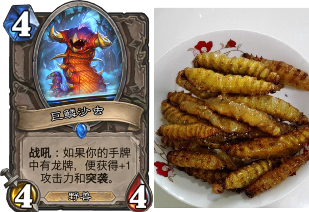 合肥发现最大蝗虫 专家称可做美食合肥发现罕见巨型蝗虫，专家惊喜之下竟称可做成美食