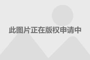 上海豪宅成交2020上海豪宅成交报告，揭秘2020年市场走势与热门区域分析
