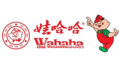 娃哈哈旗下公司更名娃哈哈旗下公司更名，探索企业变革背后的策略与意义