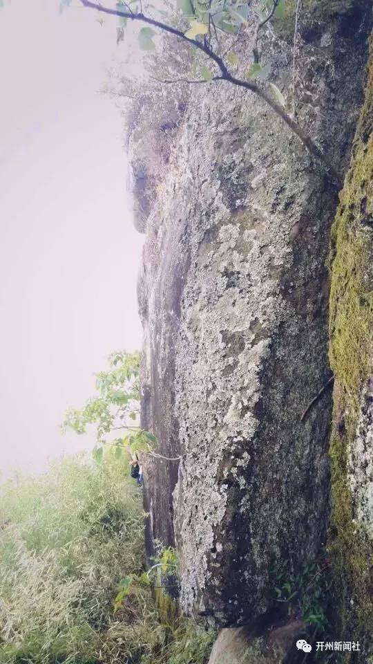 虎跳峡景区出现\"不明生物\"?当地回应虎跳峡景区出现不明生物，当地回应揭秘神秘现象