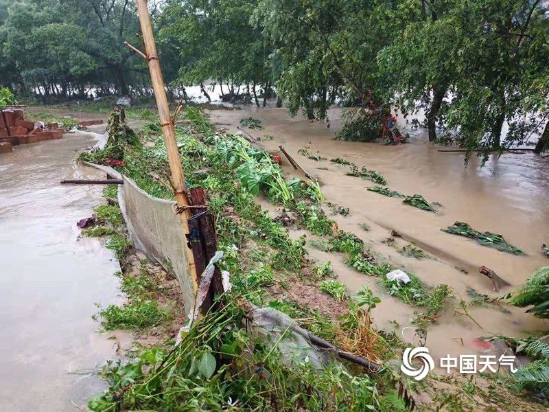 强降雨致多地受灾强降雨致多地受灾，如何应对自然灾害的挑战？