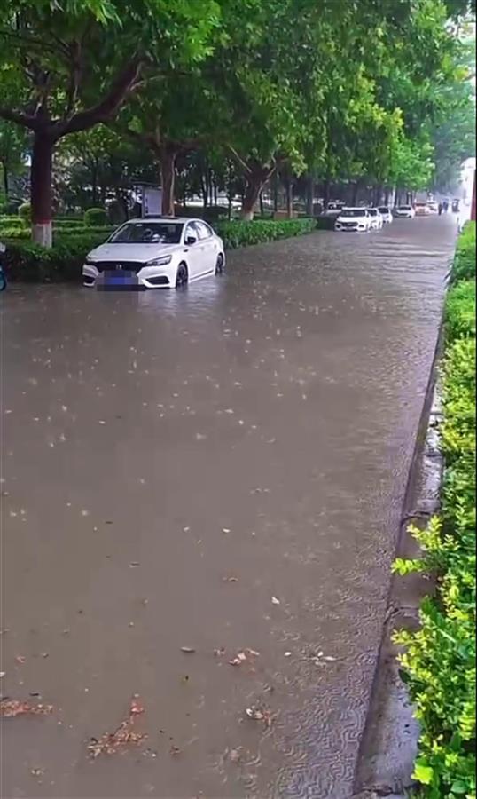为何河南下大雨河南地区频繁出现大雨的原因可以从多个维度进行分析。