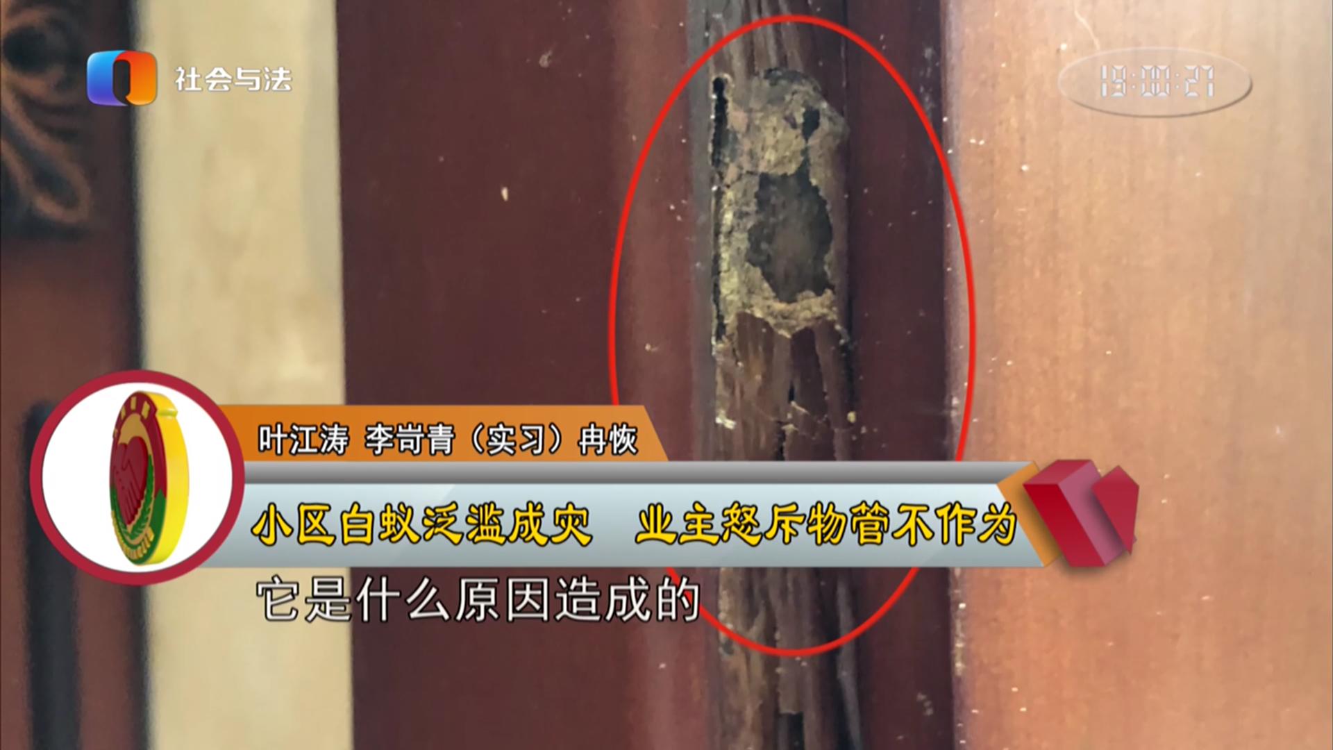 小区虫子多物业责任小区虫子多，物业是否有责任，要根据具体情况分析。