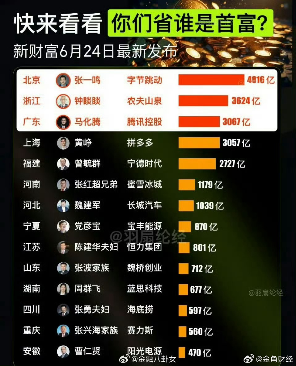 一个省的首富有多少钱一个省的首富有多少钱，深度解析财富积累与影响因素