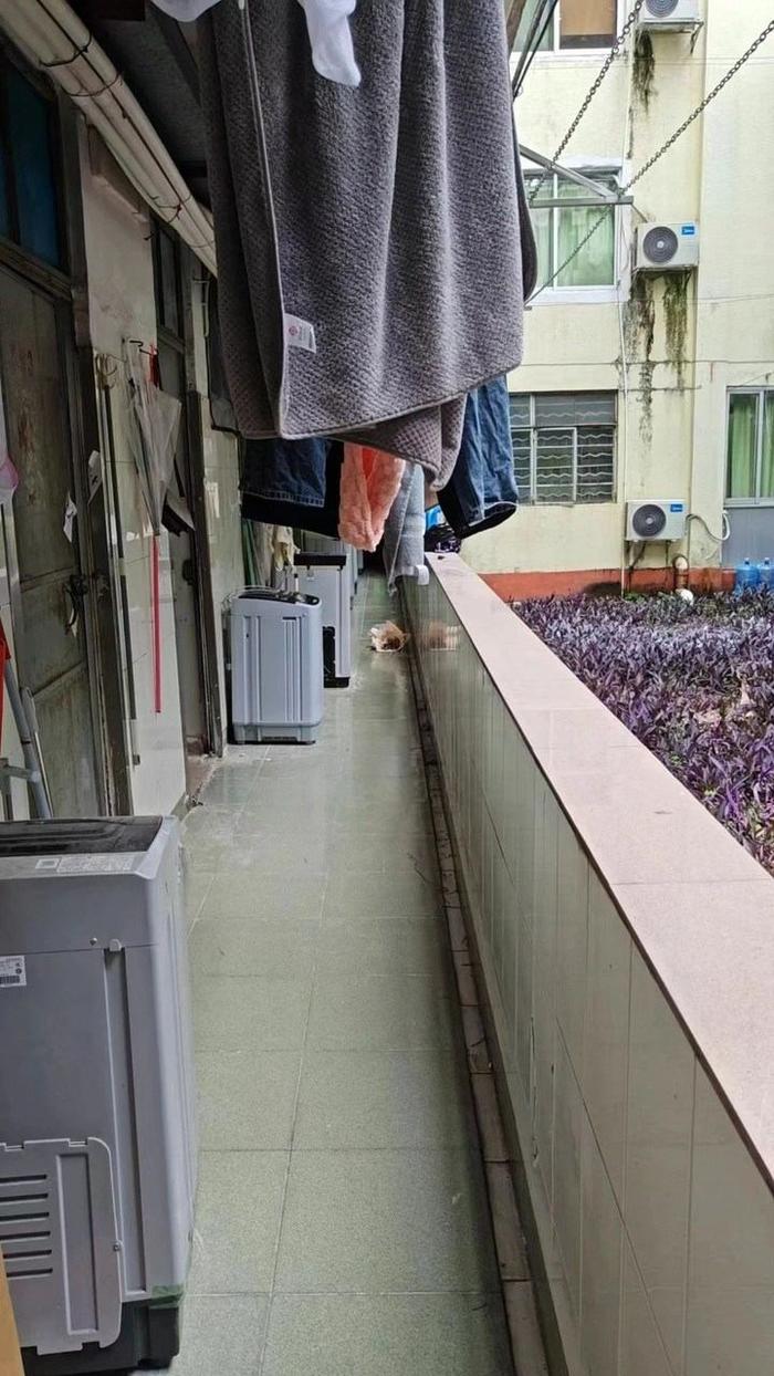 宿舍长霉菌宿舍长霉菌，背后的故事与应对之策